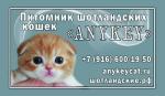   "ANYKEY", 